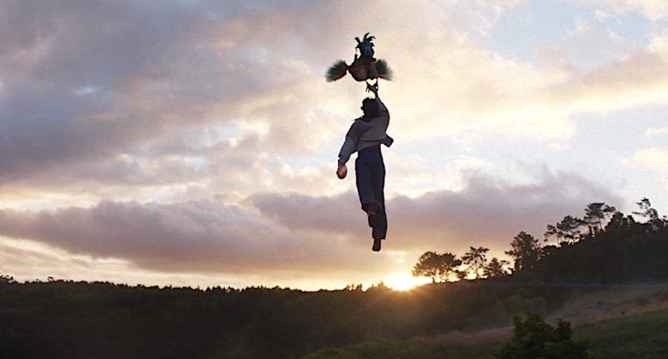 Beyond Belief: A Fresh Helping of KFC Weirdness