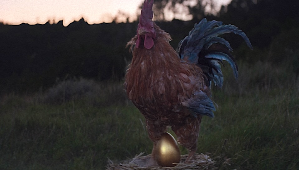 Beyond Belief: A Fresh Helping of KFC Weirdness