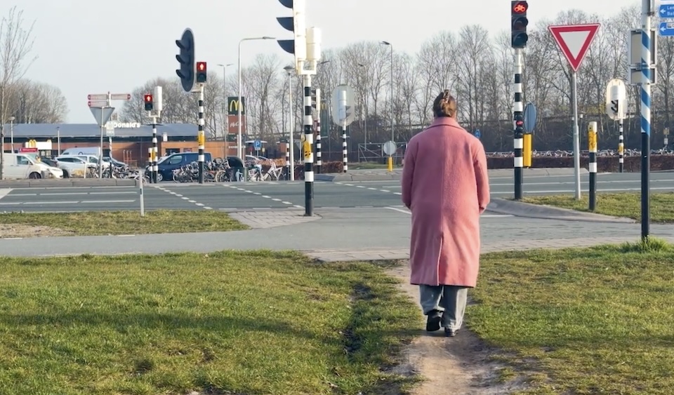 Let's Take a Shortcut to McDonald's in the Netherlands