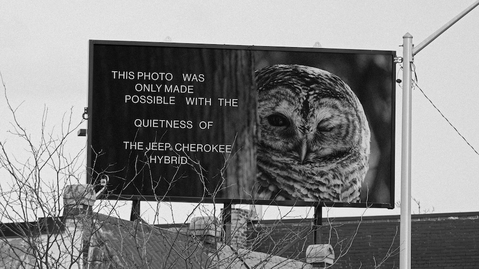 How a Jeep Cherokee Hybrid Made Stunning Wildlife Photos