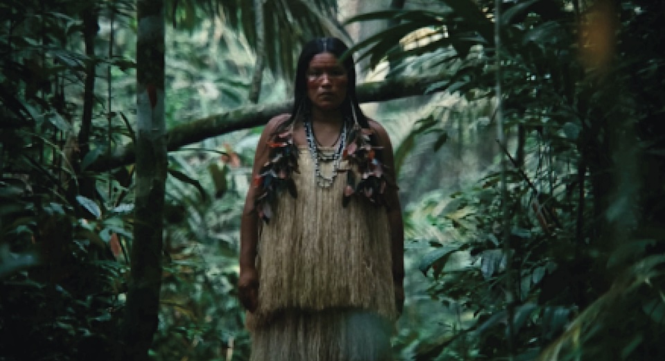 Can Social Storytelling Help Protect the Amazon Forest?