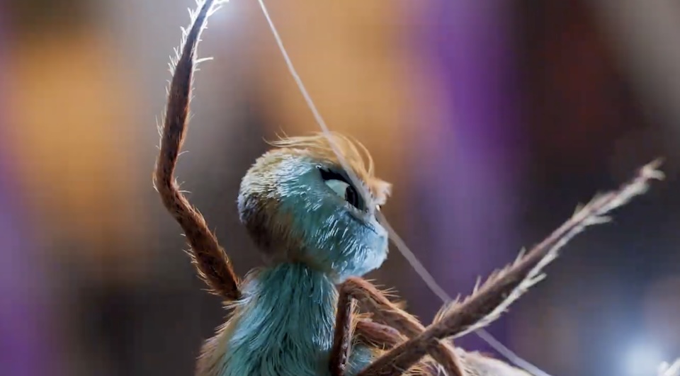 This Dancing Spider Sure Loves Gröna Lund Theme Park