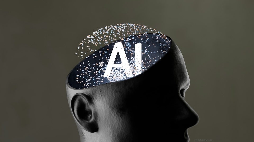 How Clever Humans Can Adapt in an AI World