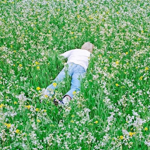 Child lying face down in a meadow of white and yellow wildflowers, wearing a white shirt and jeans.