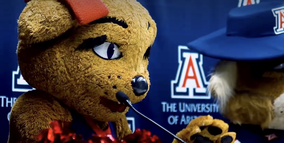 Friskies Drafts 6 Cat Mascots From College Football in Pet Shelter Play