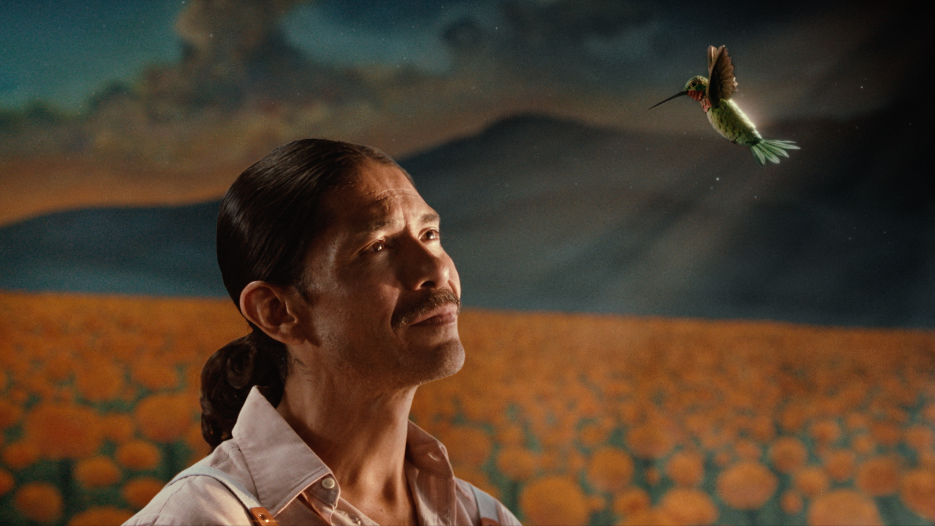 Cerveza Victoria Created a Touching Tribute, With Hummingbirds, for  Mexico's Day of the Dead
